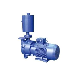 Máy bơm chân không 2BEX